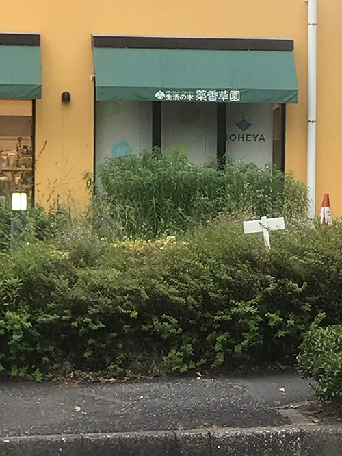 薬香草園のショップ